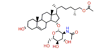 Pavoninin 3